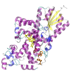 Kristallstruktur von Cryptochrom aus Synechocystis sp.